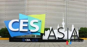 91丨亚洲丨精品丨入口众乐乐,众乐乐入口一网打尽